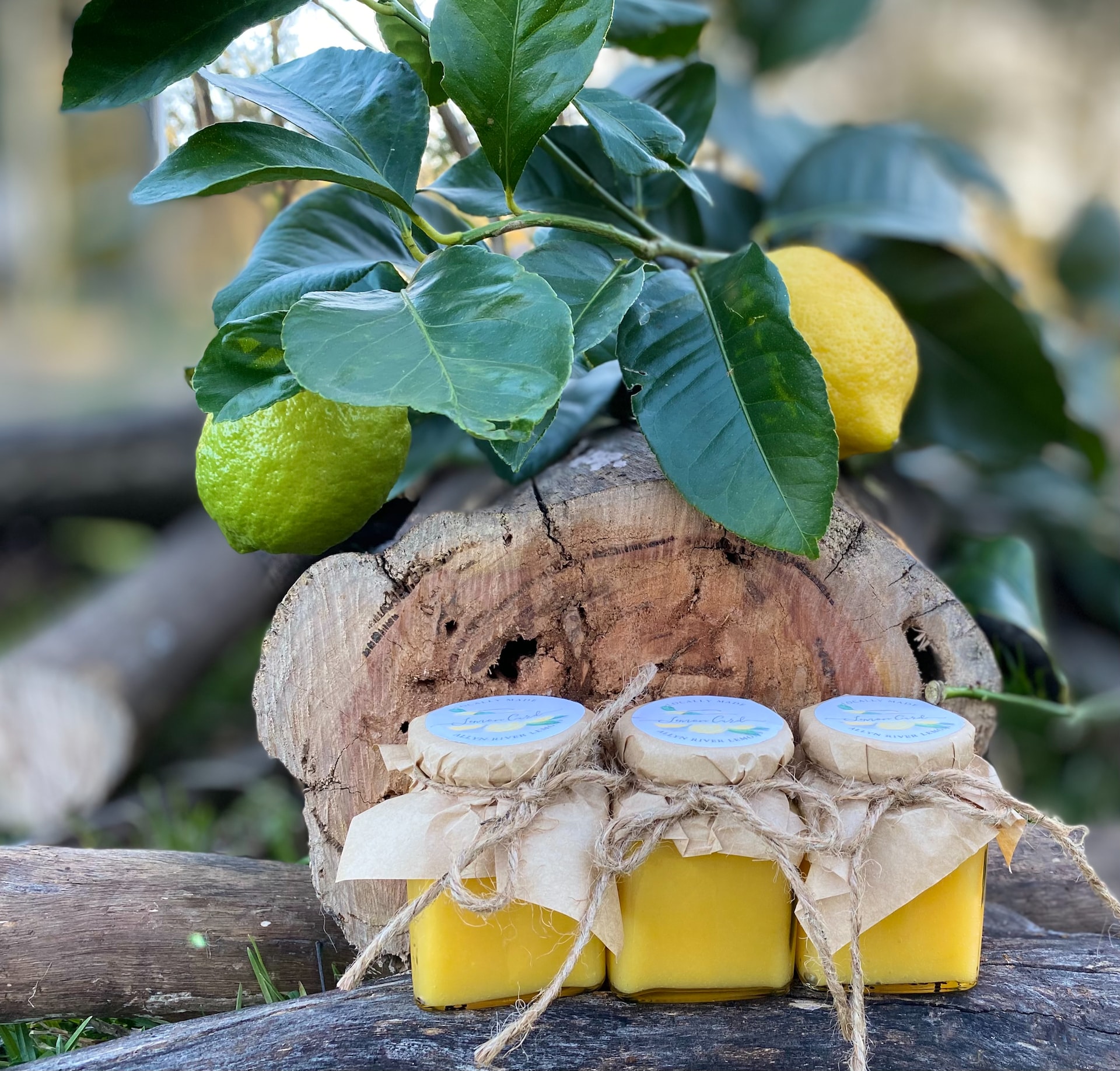 Lemon Curd